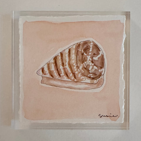 Original Seashell 3