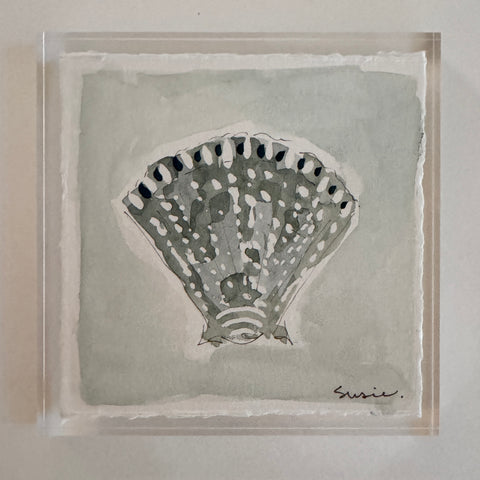 Original Seashell 4