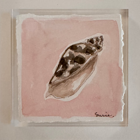 Original Seashell 9