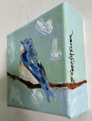 My Bluebird