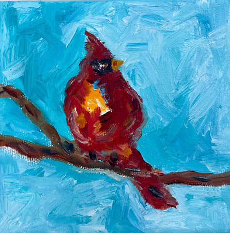 Spring Cardinal