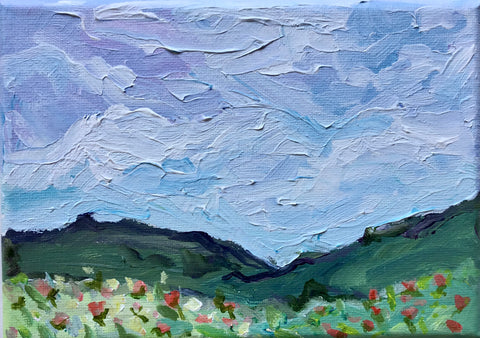 Wildflowers in the Mountains