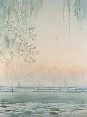 The Fog is Lifting