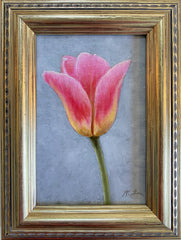 Tulip Study III