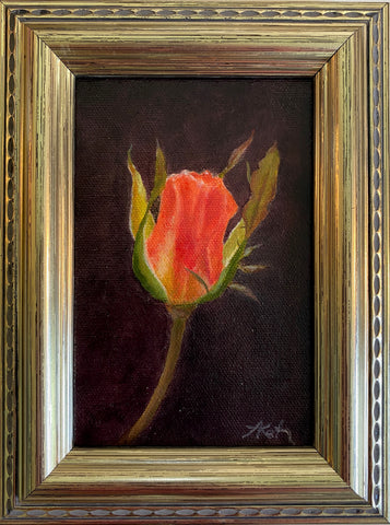 Tulip Study VI