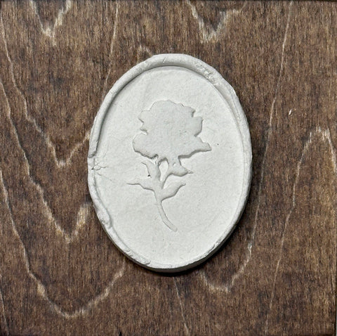 Intaglio Rose