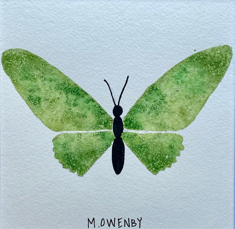 Butterfly No. 16