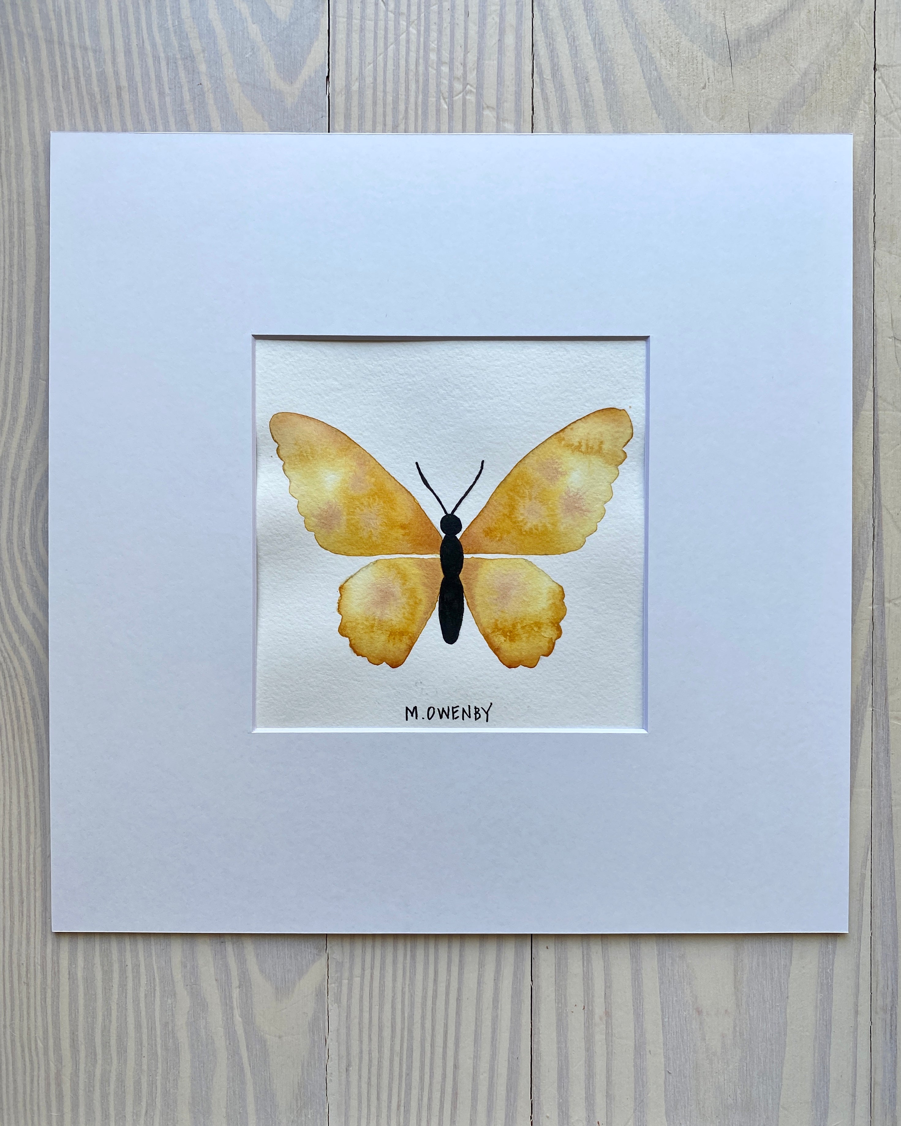 Butterfly No. 22