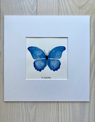 Butterfly No. 25