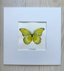 Butterfly No. 21