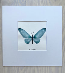 Butterfly No. 24