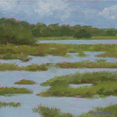 Citadel Marsh Study