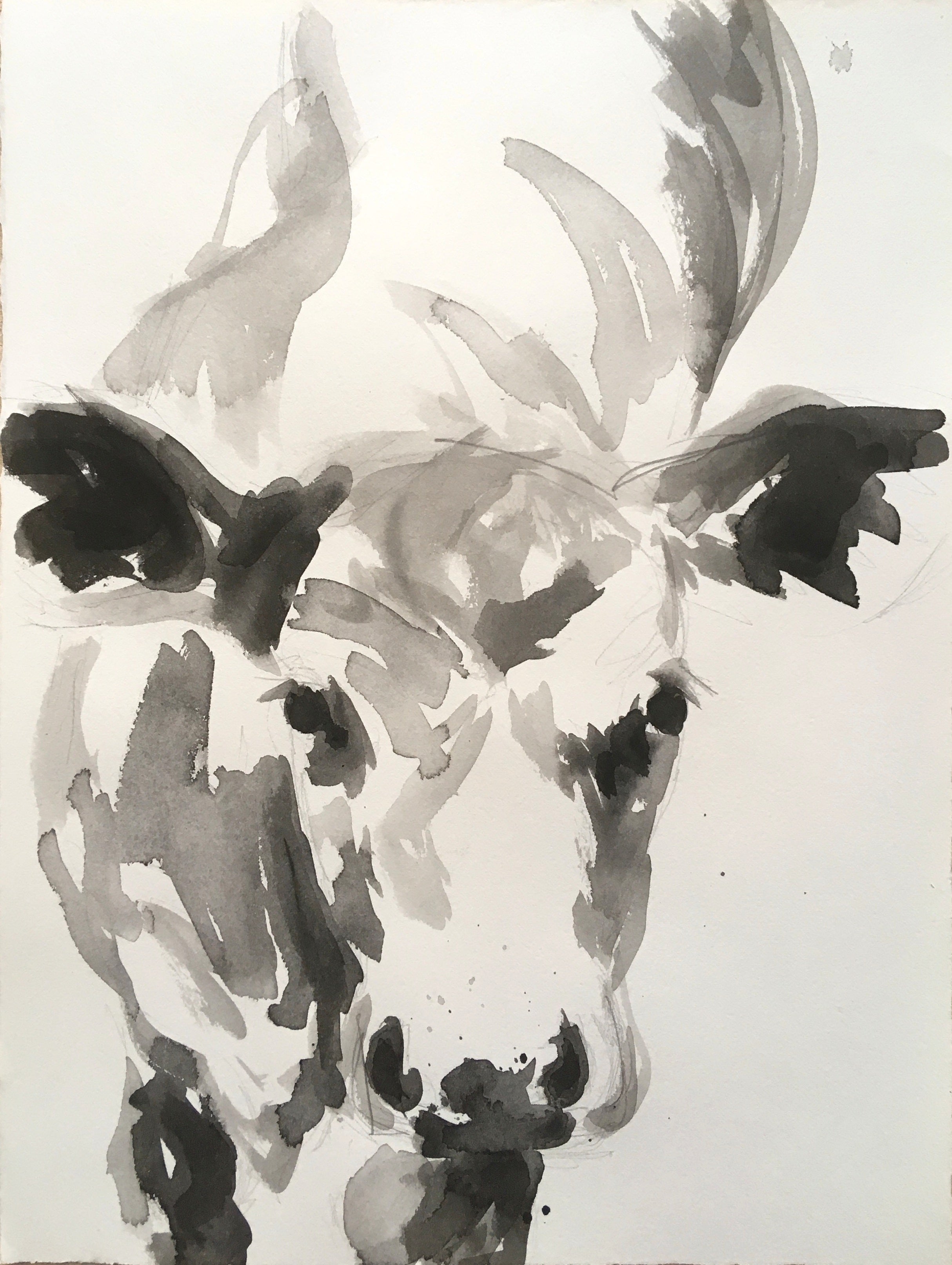 Calf Ink Study I