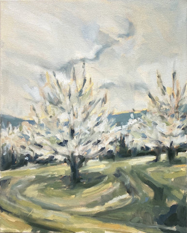 Orchard in Spring II