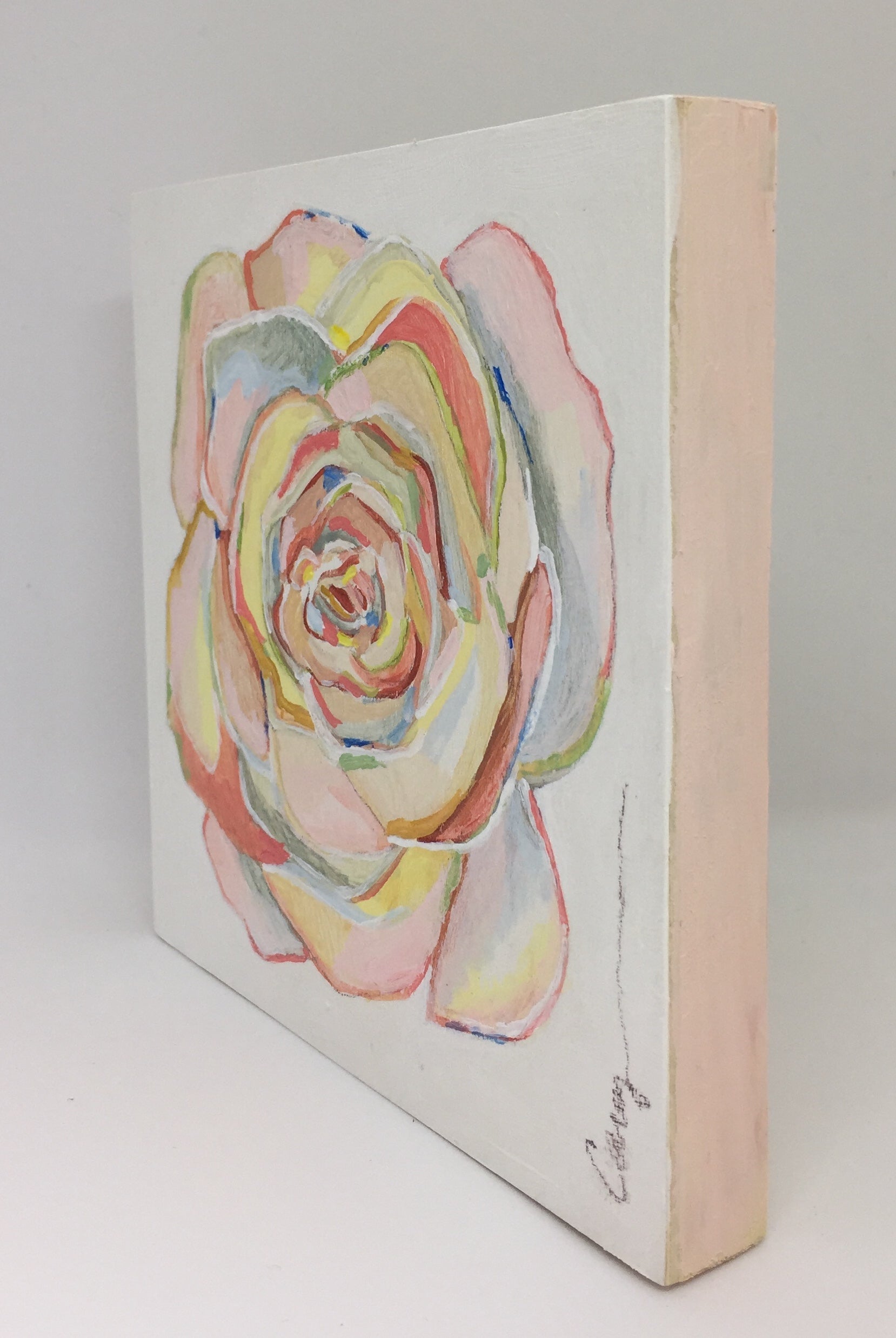 Rose of Many Colors