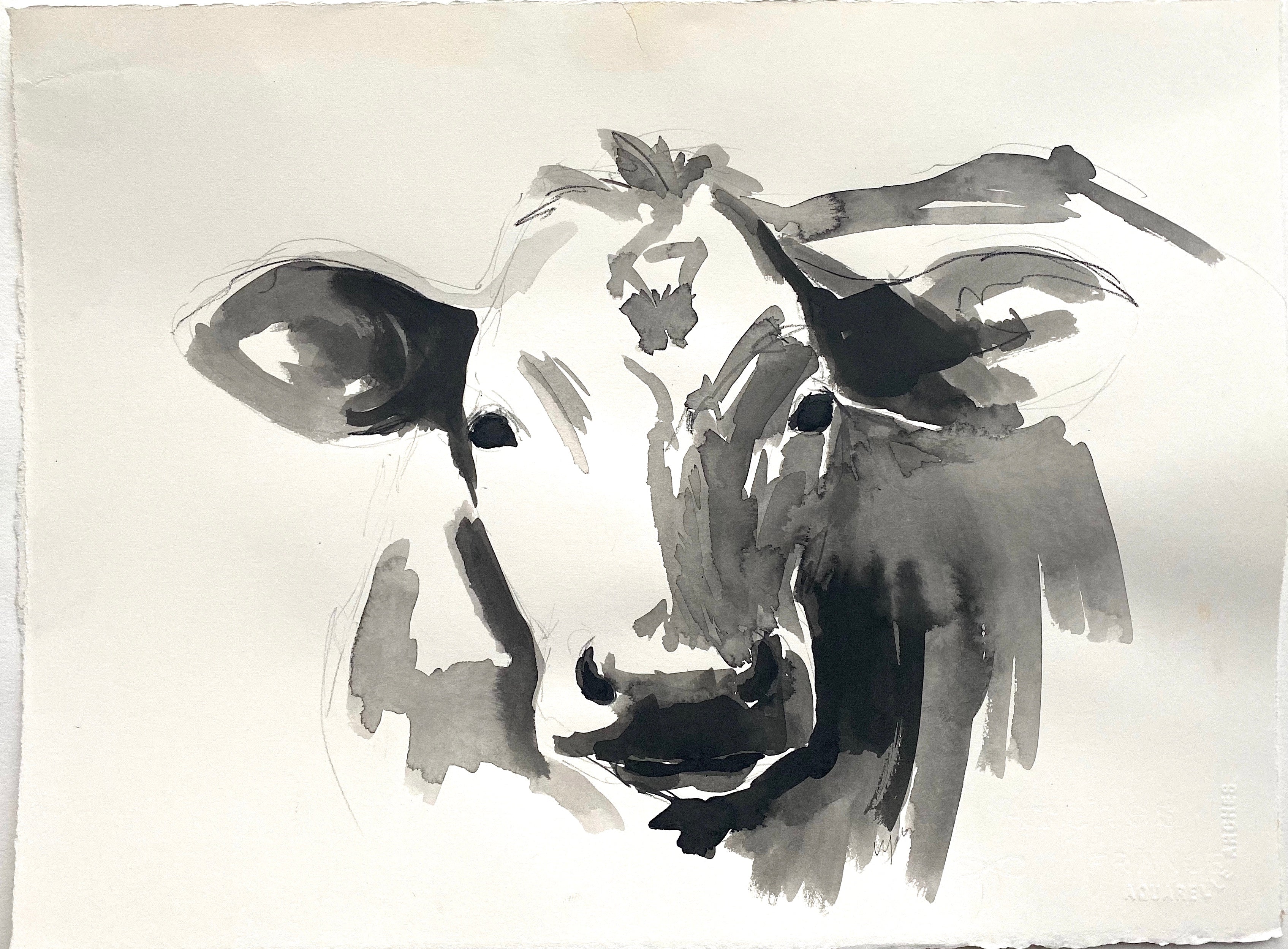 Cow Portrait Study I