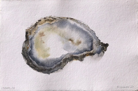 Oyster 2B