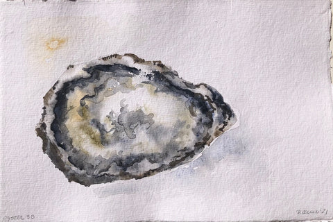 Oyster 3B