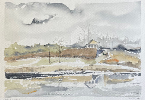 Tiger, Rabun County 1