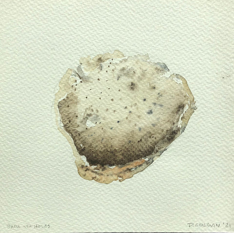 Shell with Holes (Front)