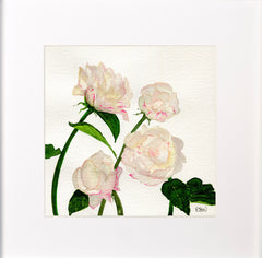 Peonies