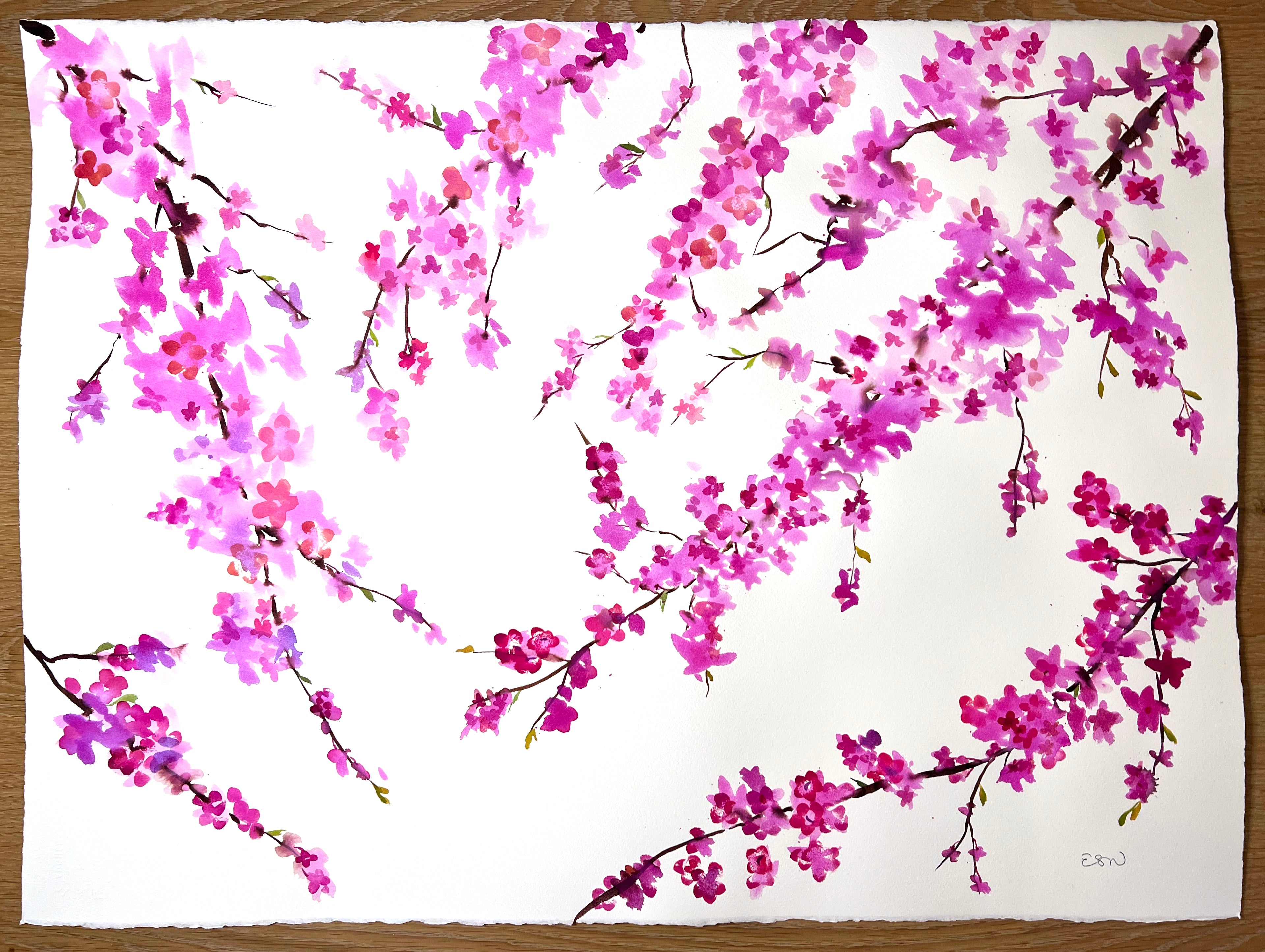 Redbuds