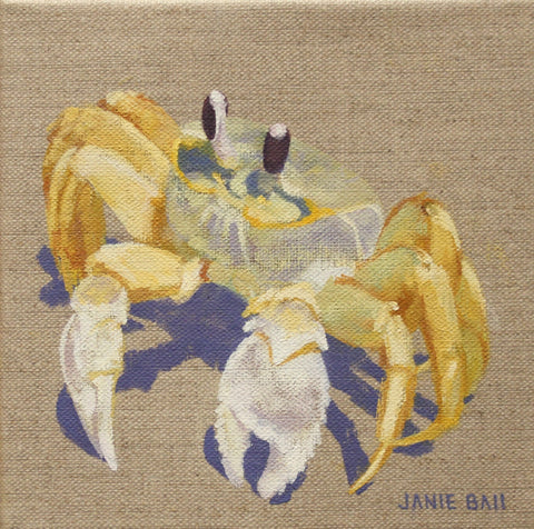 Ghost Crab IV