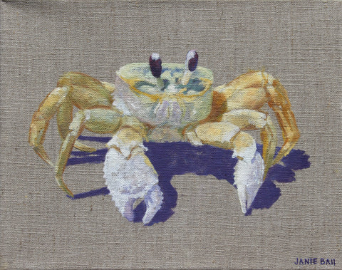 Ghost Crab VI