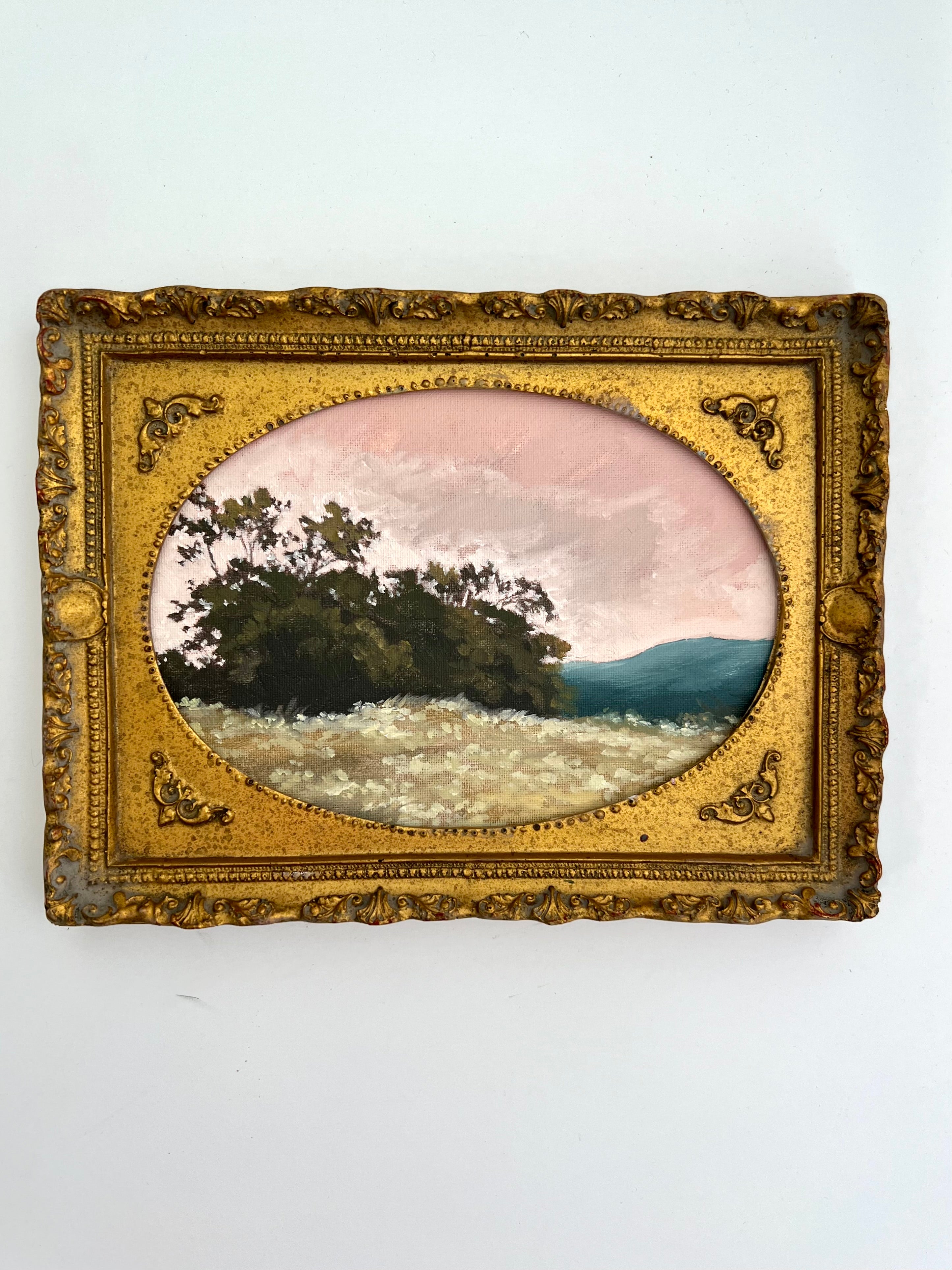 Soft Pink Vignette