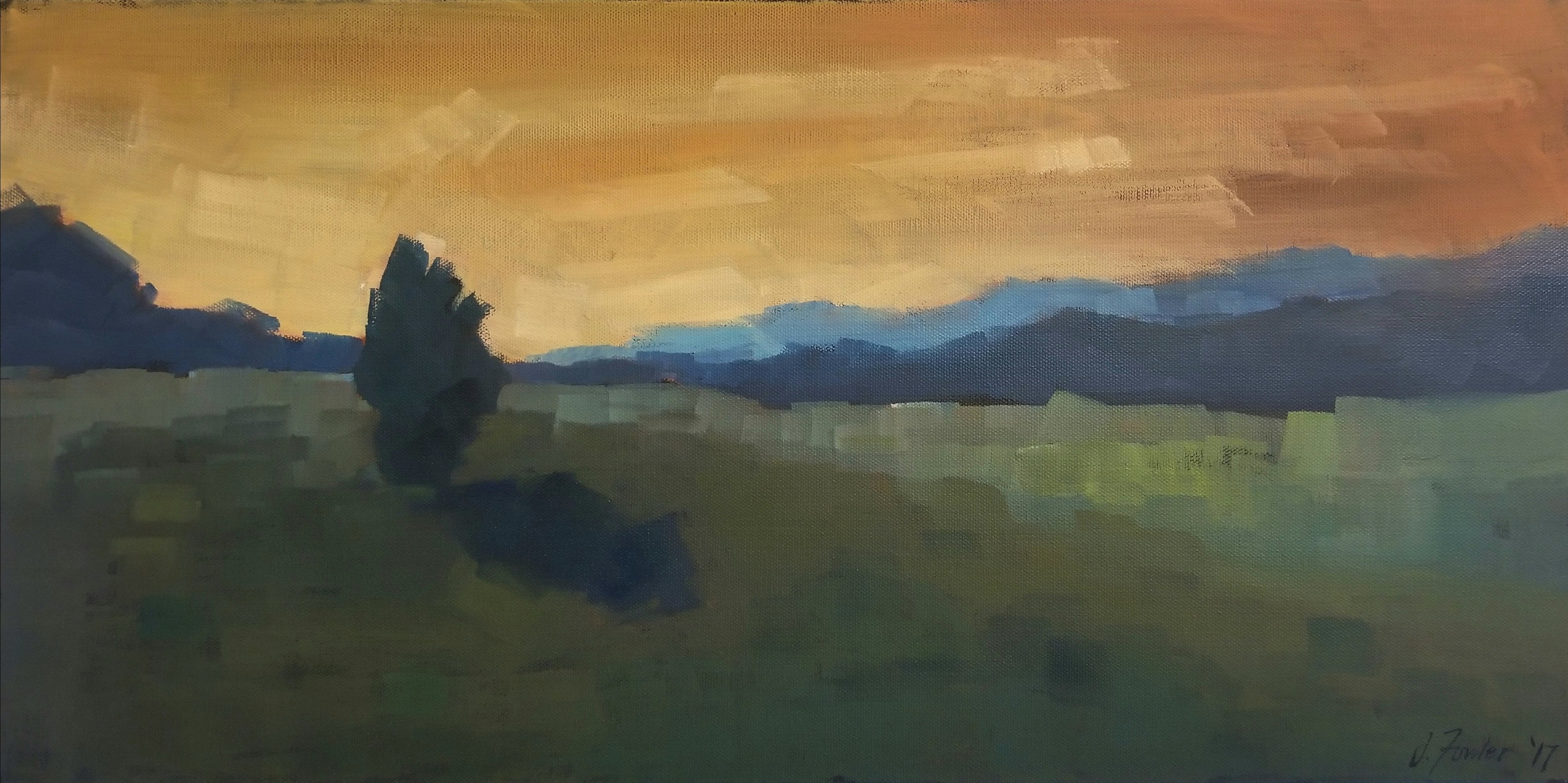 Evening Light