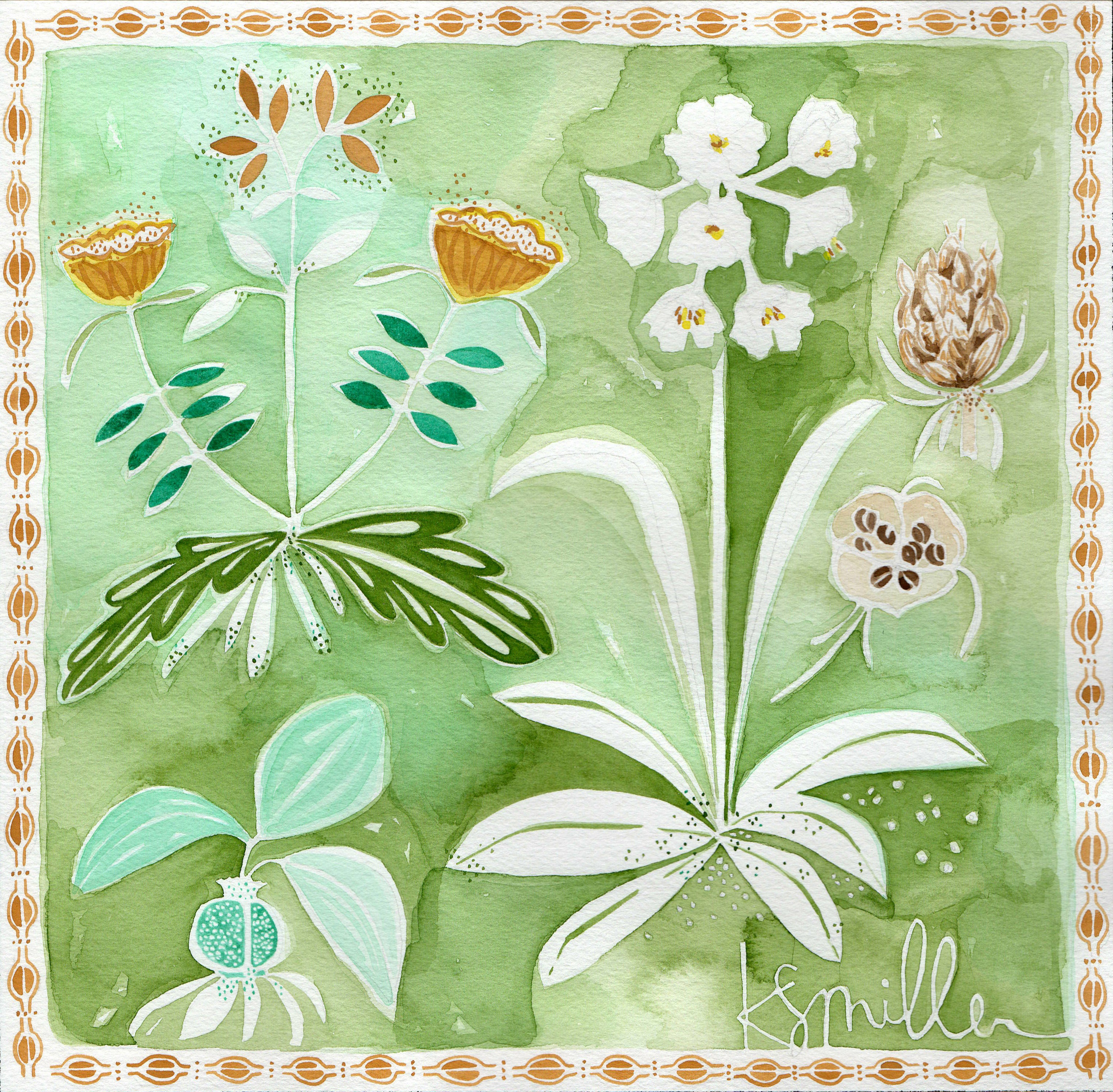 Botanical 013