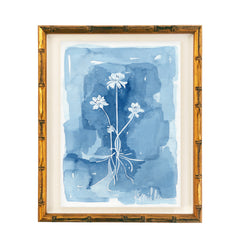 Botanical 016