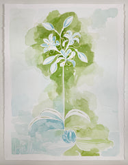 Botanical 021