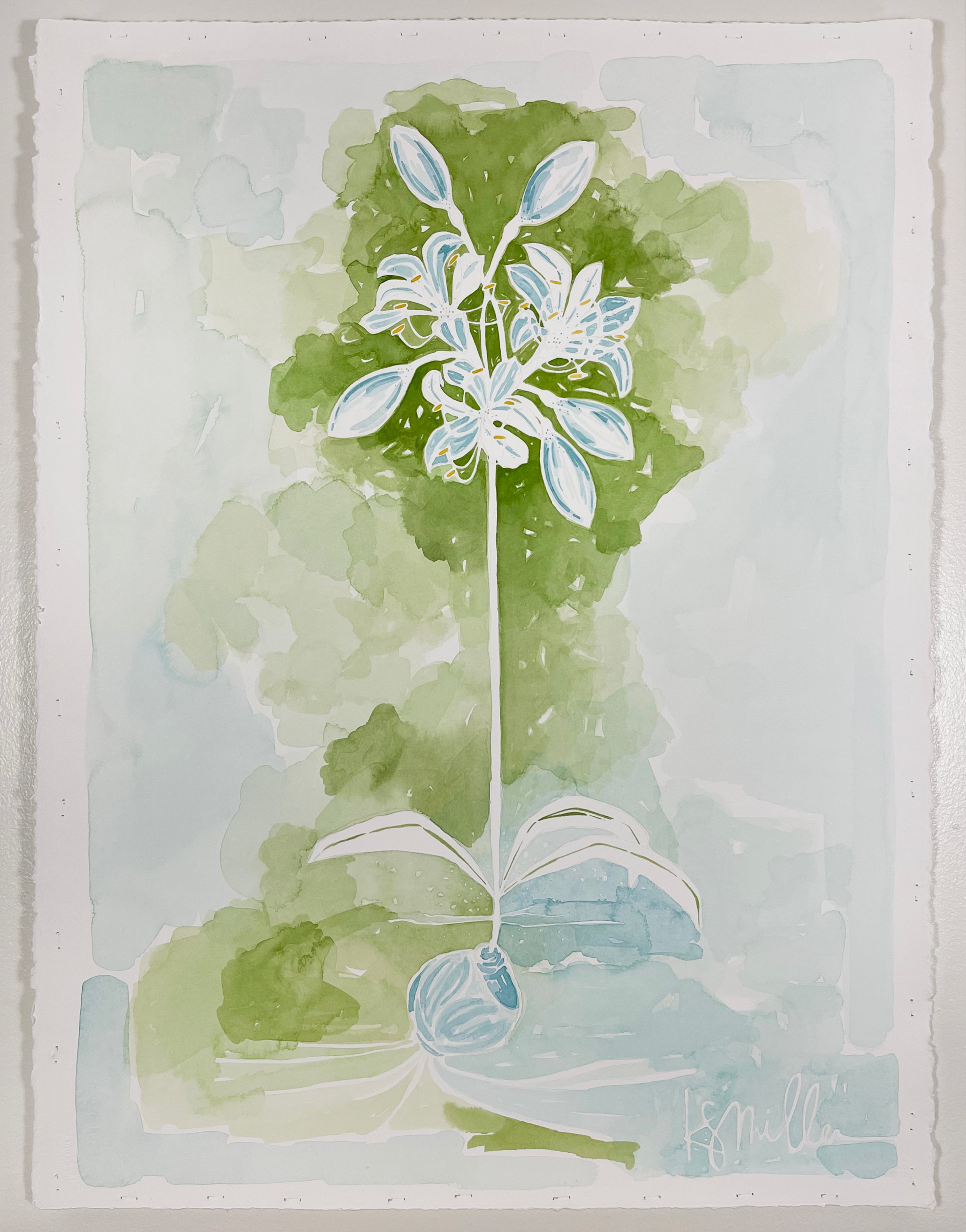 Botanical 020