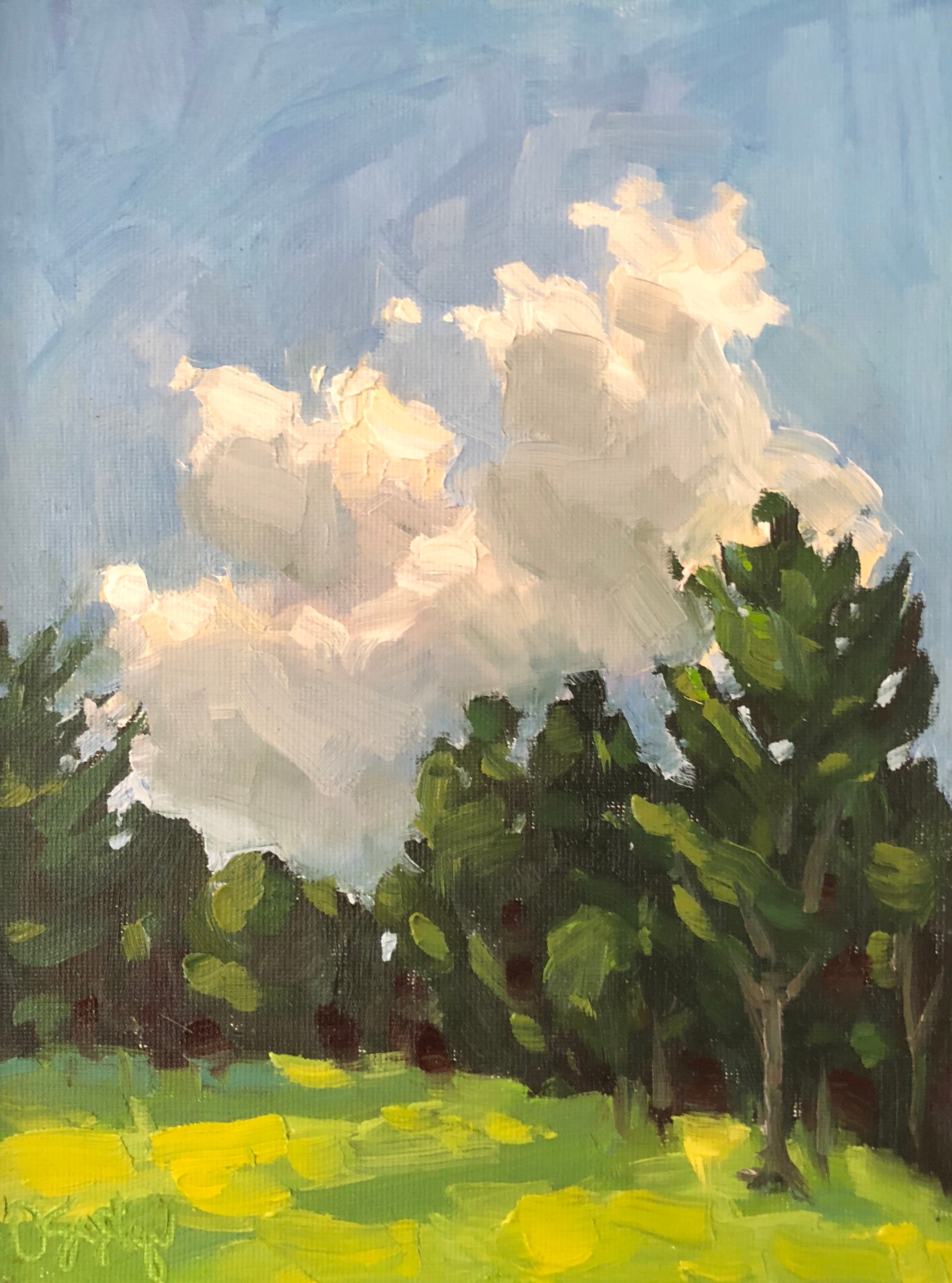 Bright and Beautiful