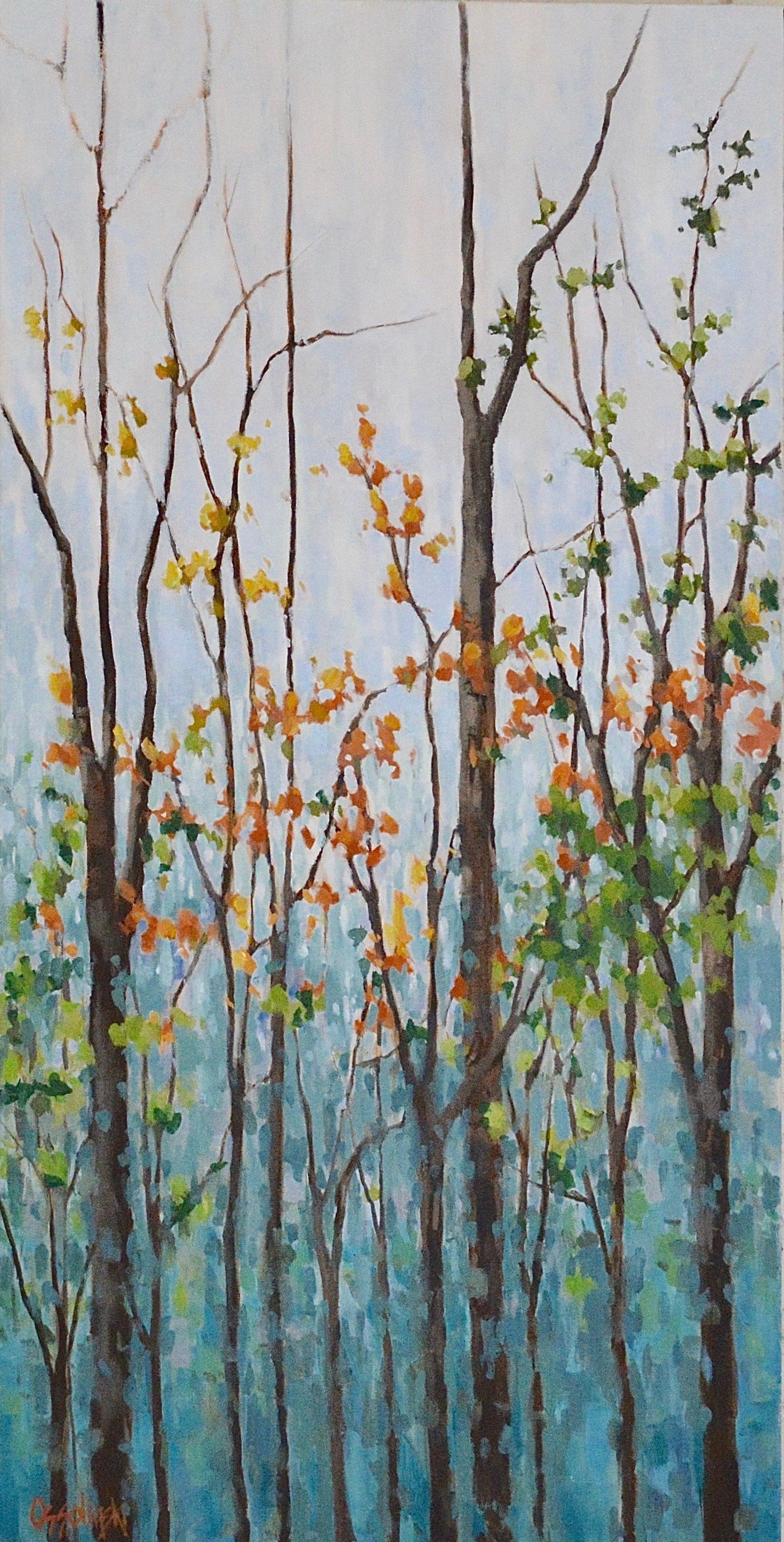 Forest For the Trees