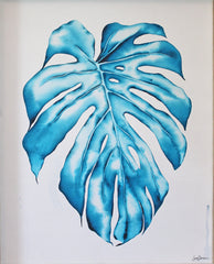 Blue Monstera