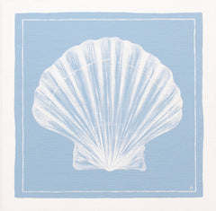 Scallop Shell