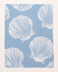 Scallop Shells