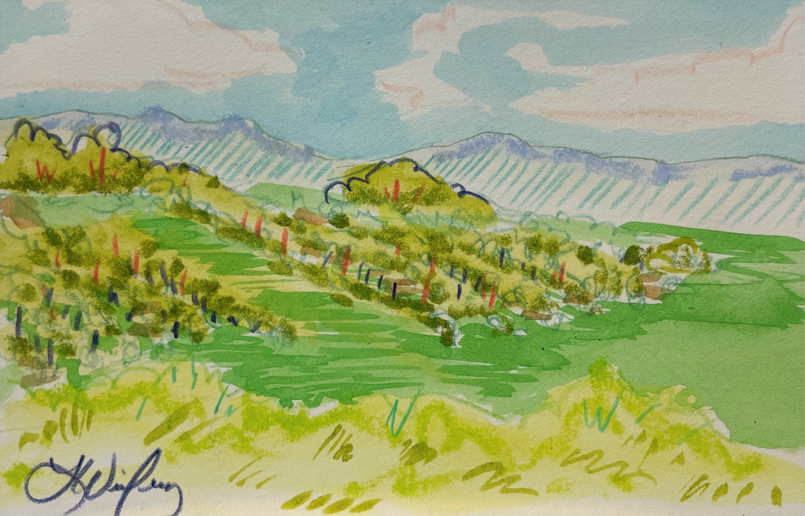 Southern Wine