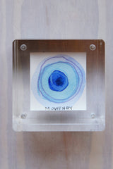 Ocular 41