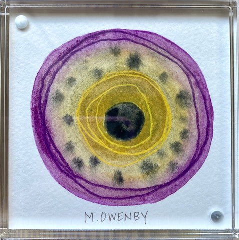 Ocular 46