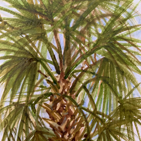 Palmetto