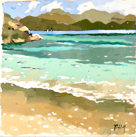 Monkey Point Beach