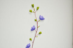 Purple Flower 2