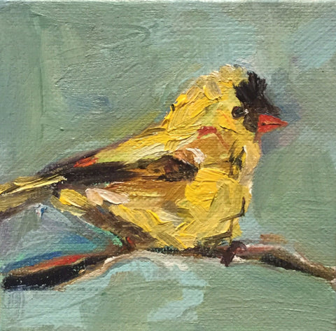 Gold Finch