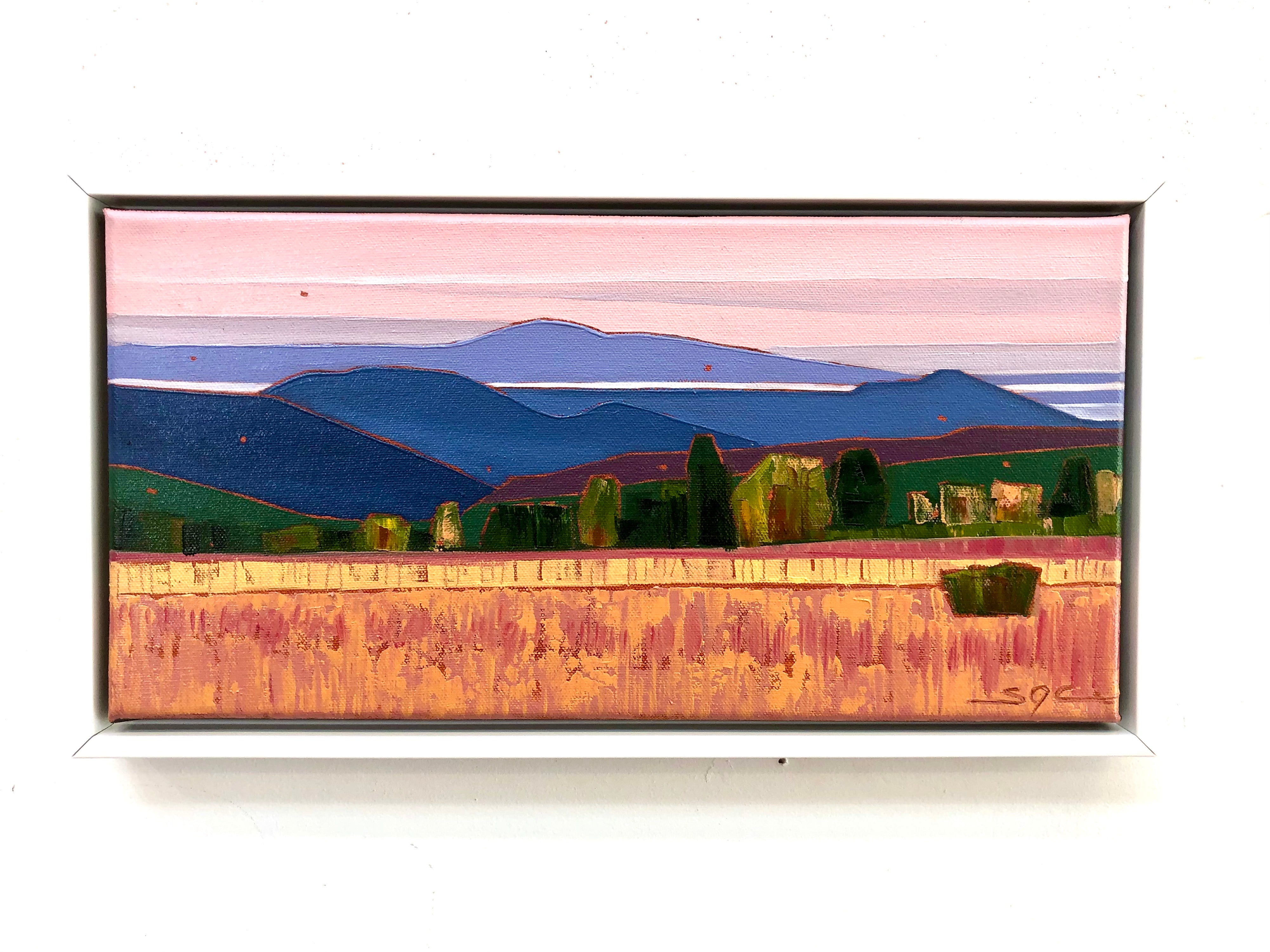 Coral Sky