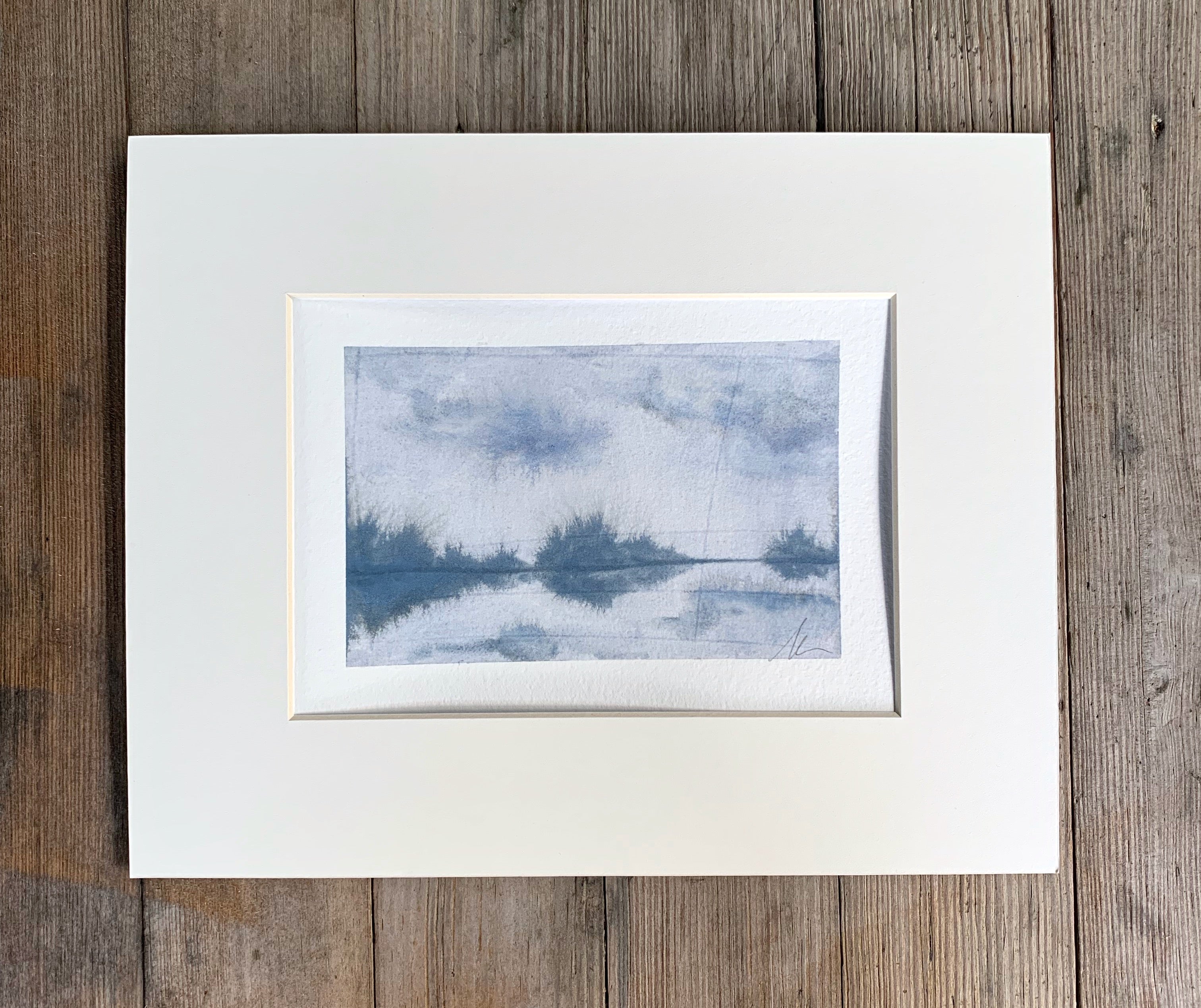 Shadows on the Marsh