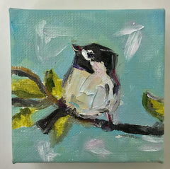 Spring Chickadee