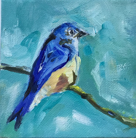 Mr. Bluebird